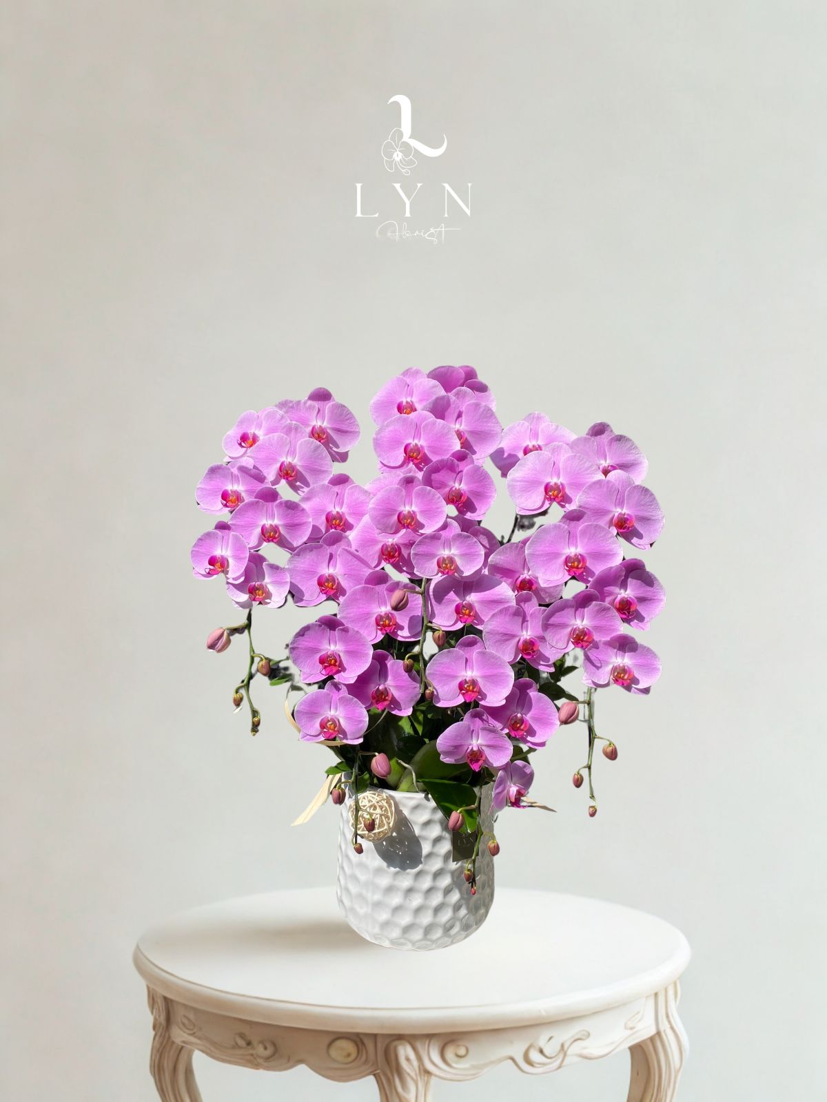 Chậu Hoa Lan Hồng 243